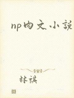 np肉文小说