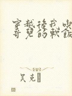 穿越后我吃到了哥儿的软饭炉山灰