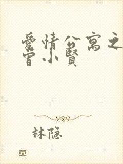 爱情公寓之极品曾小贤