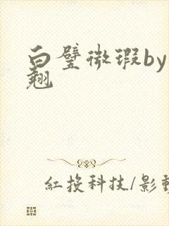 白璧微瑕by连翘