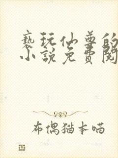 亵玩仙尊的道侣小说免费阅读