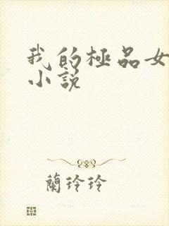 我的极品女老师小说