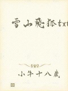 雪山飞狐txt