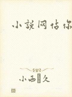 小说网站你懂的