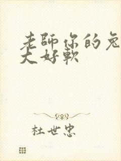 老师你的兔子好大好软