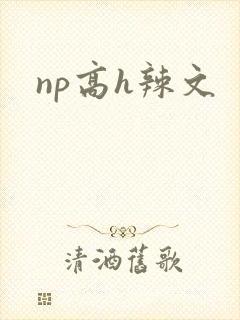 np高h辣文