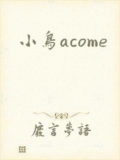 小鸟acome