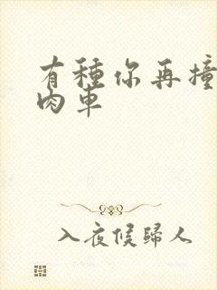 有种你再撞一下肉车