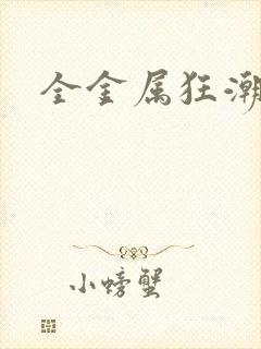 全金属狂潮小说