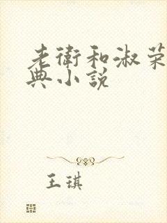 老卫和淑荣的经典小说