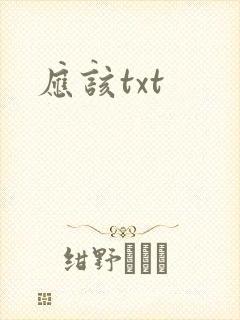 应该txt