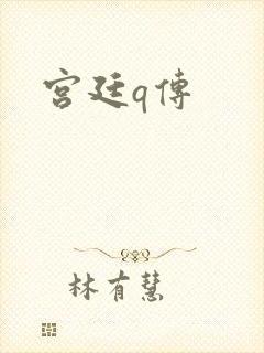 宫廷q传