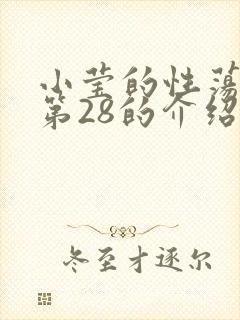 小莹的性荡生活第28的介绍