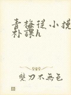 青梅从小摸到大补课h