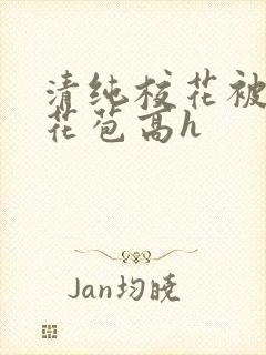 清纯校花被迫开花苞高h