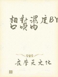 相对湿度BY大口吃肉