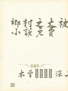 乡村之大被同眠小说免费