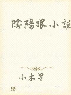 阴阳眼小说