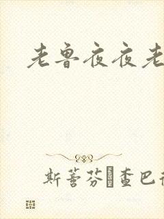 老鲁夜夜老鲁