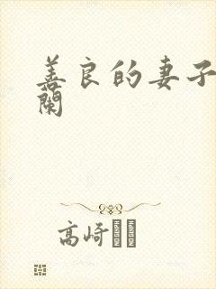 善良的妻子王晓兰