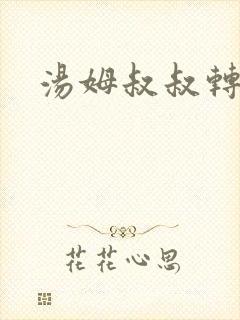 汤姆叔叔转接口