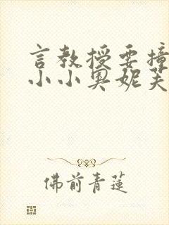 言教授要撞坏了小小奥妮芙原文