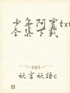 少年阿宾txt全集下载