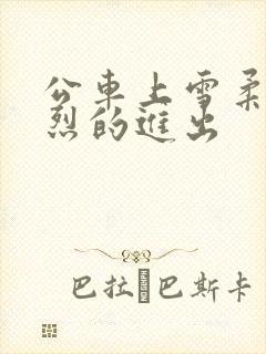 公车上雪柔被猛烈的进出