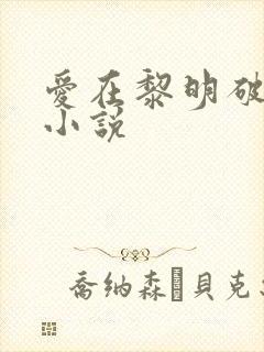 爱在黎明破晓前小说
