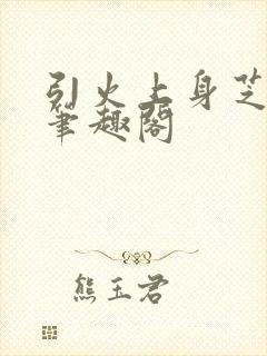 引火上身芝麻糖笔趣阁