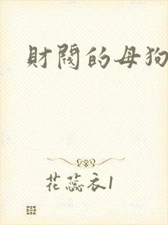 财阀的母狗们