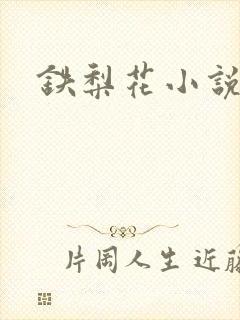 铁梨花小说