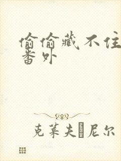 偷偷藏不住新婚番外