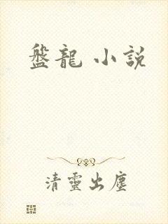 盘龙 小说