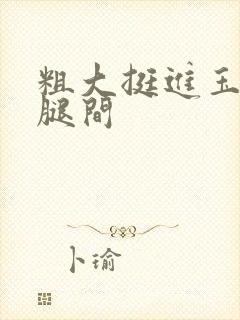 粗大挺进玉芬双腿间