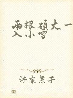 两根硕大一起挤入小雪