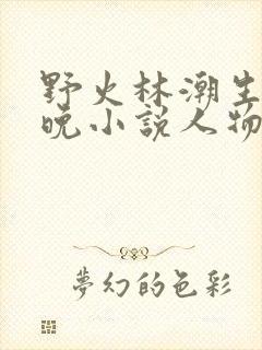 野火林潮生林晚晚小说人物野火