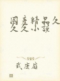 国产精品久久久久久小说