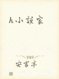 h小说家