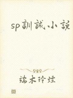 sp训诫小说