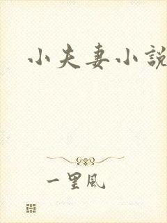 小夫妻小说