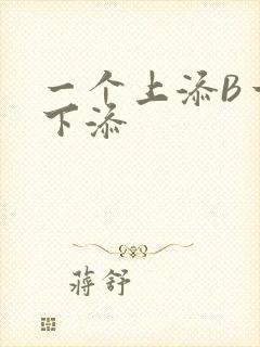 一个上添B一个下添