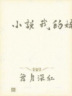 小说 我的娇妻