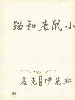 猫和老鼠小说