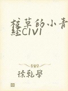 校草的小青梅不经C1V1