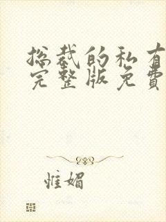 总裁的私有宝贝完整版免费阅读