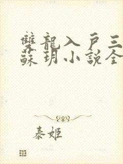 双龙入户三人行苏玥小说全文阅读