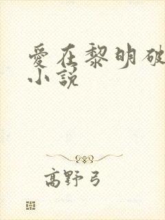 爱在黎明破晓前小说