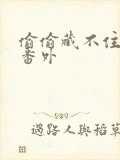 偷偷藏不住新婚番外