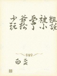 少爷受被粗汉H玩松了小说